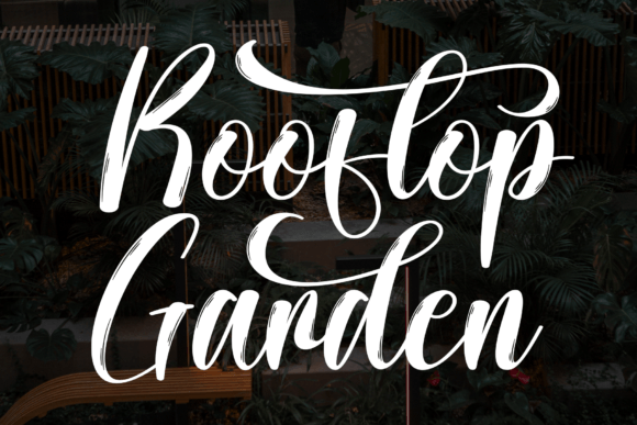 Rooftop Garden: A Script Font Built for Digital Campaigns