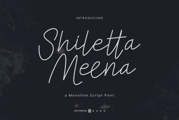 Shiletta Meena: A Designer’s Honest Review for Real Projects