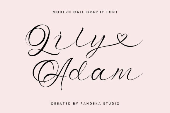 Testing Lily Adam Font for a Real Brand Layout